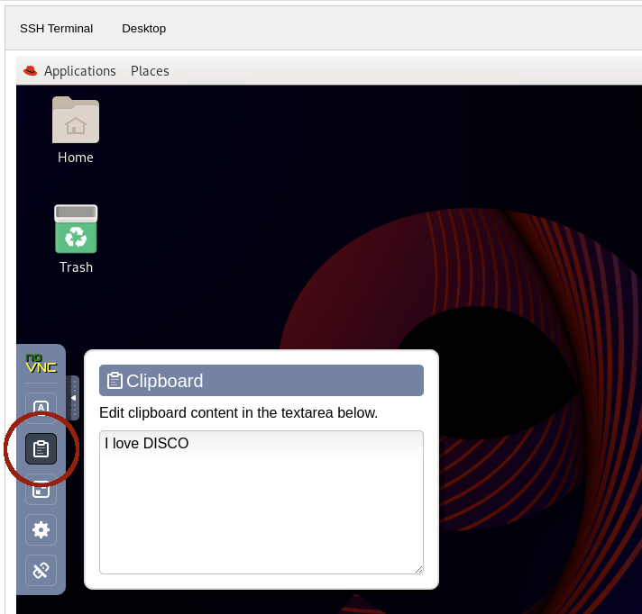 Screenshot of Desktop with noVNC clipboard highlighted
