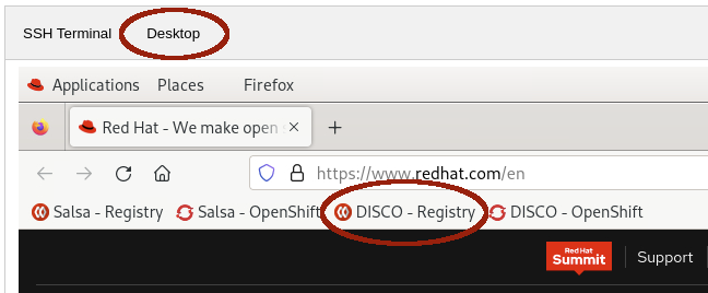 Screenshot of Desktop with DISCO - Registry bookmark highlighted